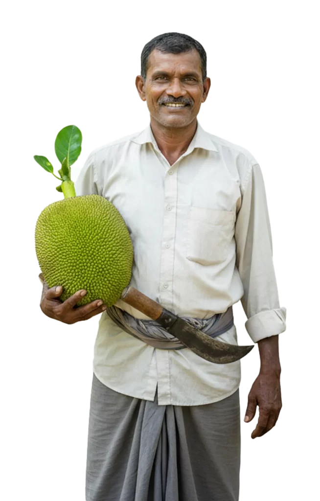 Rootzz Jackruit
